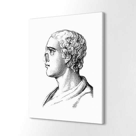 ArtprintCave, obraz na płótnie Człowiek bez nosa anatomia, 40x60 cm ArtPrintCave