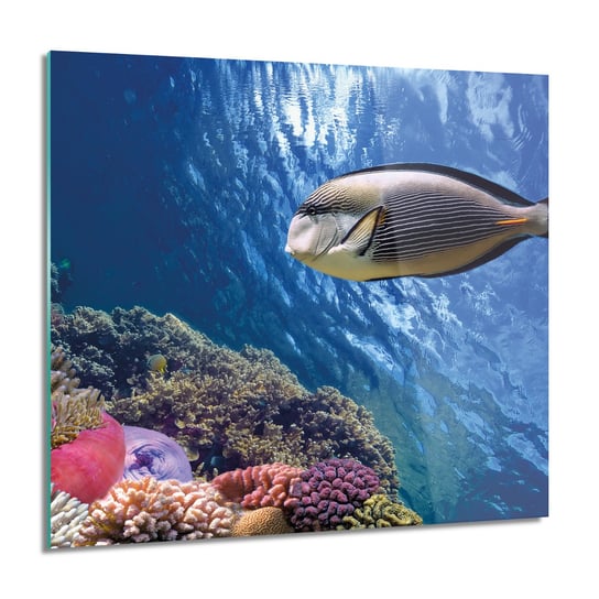 ArtprintCave, Obraz na szkle, Rafa ocean ryba, 60x60 cm ArtPrintCave