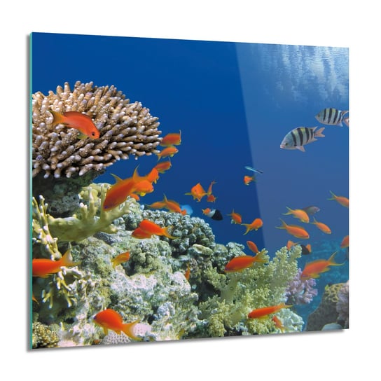 ArtprintCave, Obraz na szkle, Rafa ocean ryby, 60x60 cm ArtPrintCave