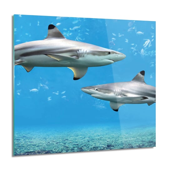 ArtprintCave, Obraz na szkle, Rekiny ocean rybki, 60x60 cm ArtPrintCave