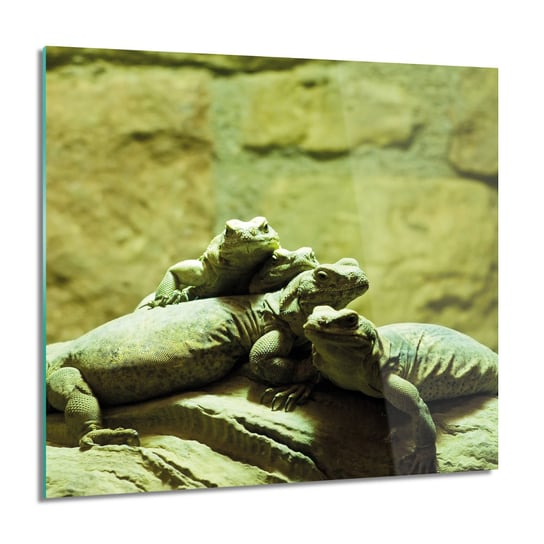 ArtprintCave, Obraz na szkle, Rodzina kameleon, 60x60 cm ArtPrintCave