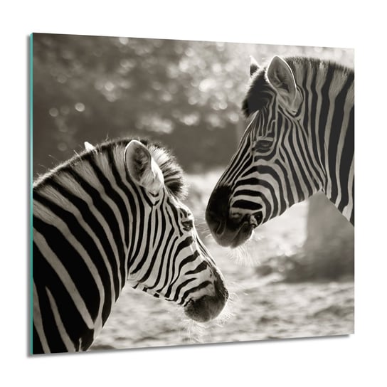 ArtprintCave, Obraz na szkle, Rodzina zebry, grafika, 60x60 cm ArtPrintCave