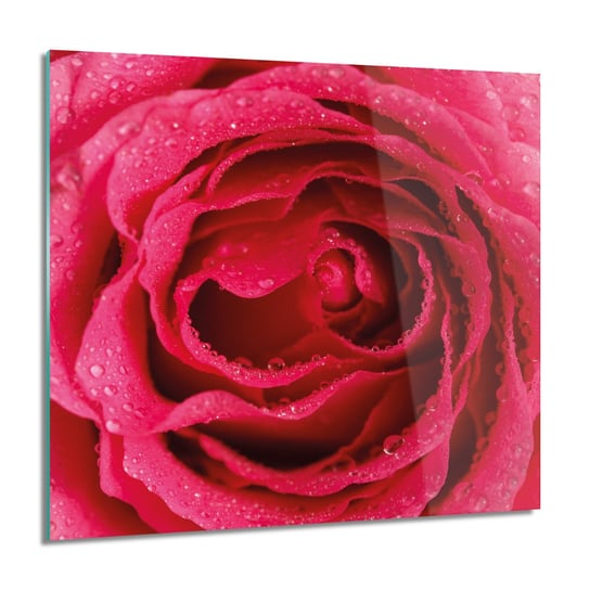 ArtprintCave, Obraz na szkle, Róża makro płatki, 60x60 cm ArtPrintCave