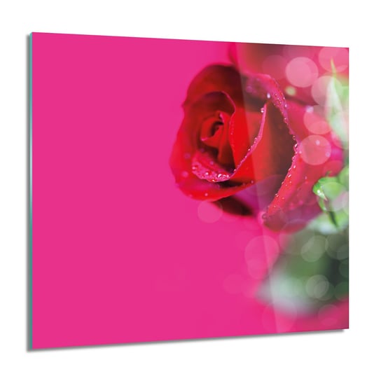 ArtprintCave, Obraz na szkle, Róża pąk płatki rosa, 60x60 cm ArtPrintCave