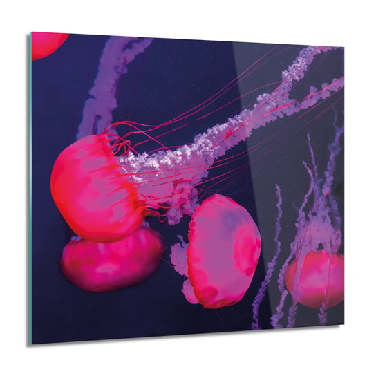 ArtprintCave, Obraz na szkle, Różowe meduzy ocean, 60x60 cm ArtPrintCave