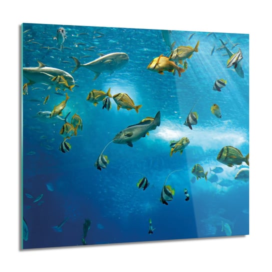 ArtprintCave, Obraz na szkle, Ryby ocean morze, 60x60 cm ArtPrintCave