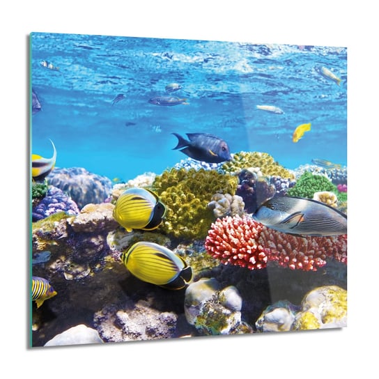 ArtprintCave, Obraz na szkle, Ryby rafa koralowa, 60x60 cm ArtPrintCave