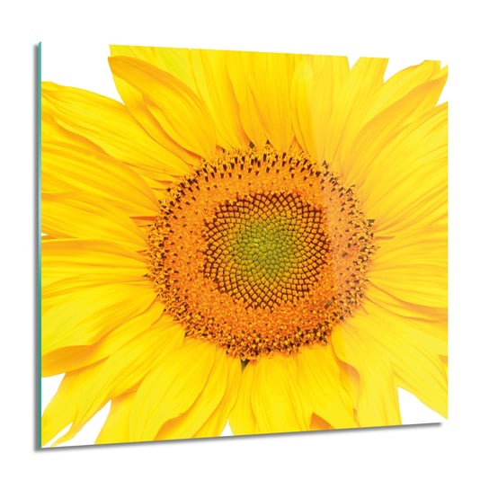 ArtprintCave, Obraz na szkle, Słonecznik płatki, 60x60 cm ArtPrintCave