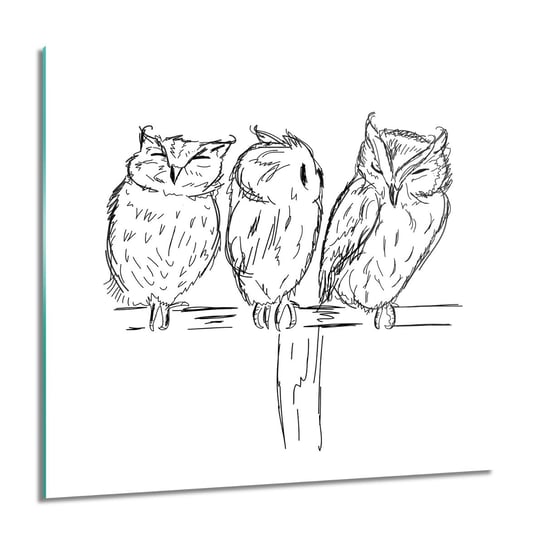 ArtprintCave, Obraz na szkle, Sowy ptaki, 60x60 cm ArtPrintCave