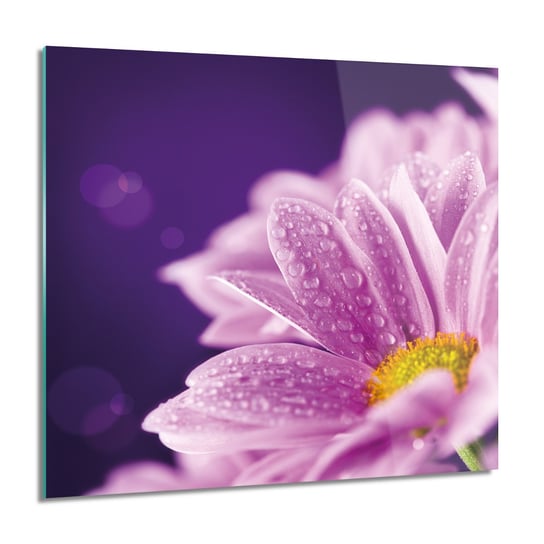 ArtprintCave, Obraz na szkle, Stokrotka rosa kwiat, 60x60 cm ArtPrintCave