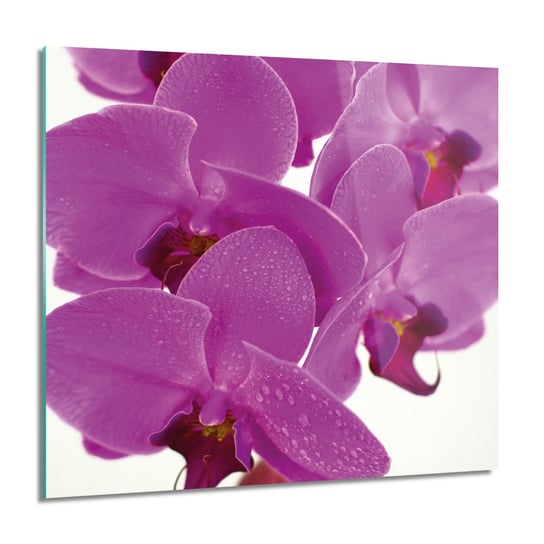 ArtprintCave, Obraz na szkle, Storczyk orchidea, 60x60 cm ArtPrintCave