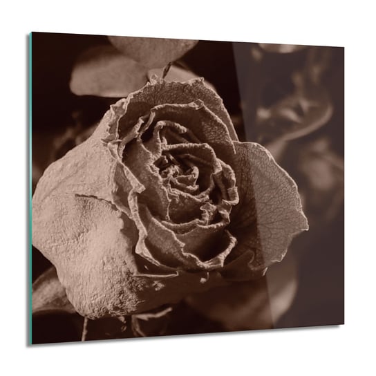 ArtprintCave, Obraz na szkle, Sucha róża makro, 60x60 cm ArtPrintCave