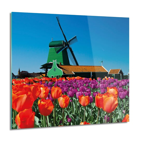 ArtprintCave, Obraz na szkle, Tulipany Holandia, 60x60 cm ArtPrintCave
