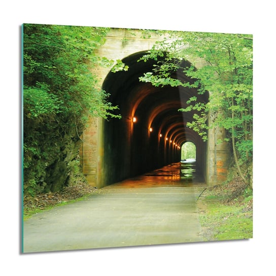 ArtprintCave, Obraz na szkle, Tunel drzewa droga, 60x60 cm ArtPrintCave