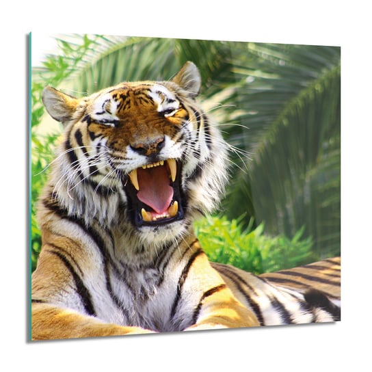 ArtprintCave, Obraz na szkle, Tygrys azjatycki, 60x60 cm ArtPrintCave