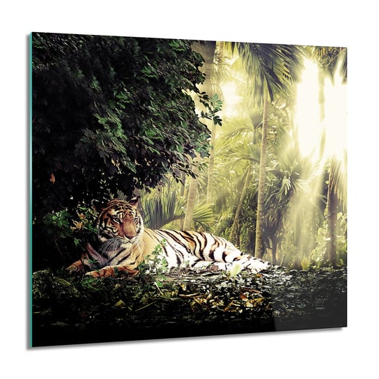 ArtprintCave, Obraz na szkle, Tygrys dżungla słońce, 60x60 cm ArtPrintCave