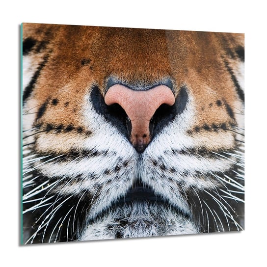 ArtprintCave, Obraz na szkle, Tygrys głowa oczy, 60x60 cm ArtPrintCave