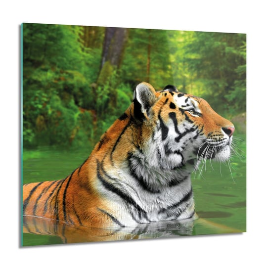 ArtprintCave, Obraz na szkle, Tygrys woda drzewa, 60x60 cm ArtPrintCave
