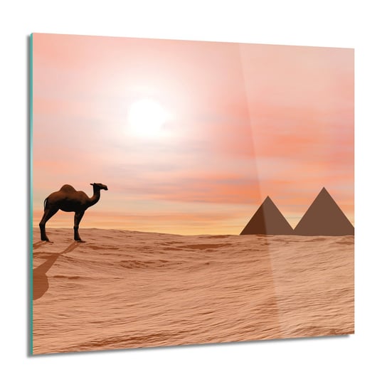 ArtprintCave, Obraz na szkle, Wielbłąd piramida, 60x60 cm ArtPrintCave