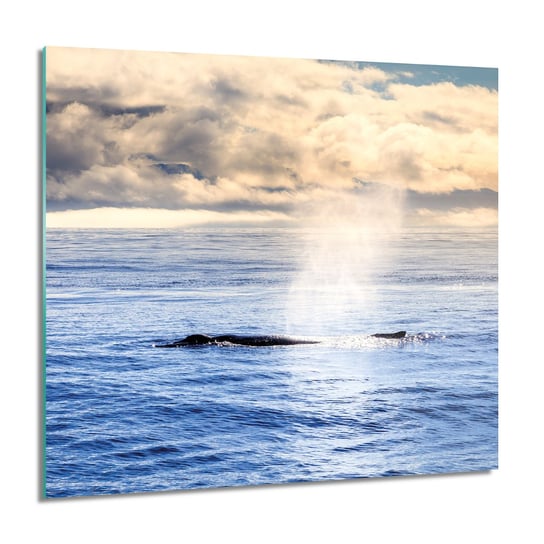 ArtprintCave, Obraz na szkle, Wieloryb ocean niebo, 60x60 cm ArtPrintCave