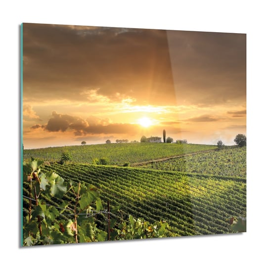 ArtprintCave, Obraz na szkle, Winnica zachód słońca, 60x60 cm ArtPrintCave