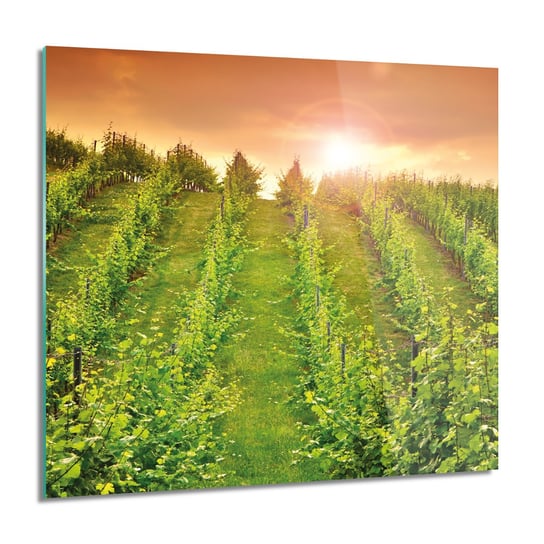 ArtprintCave, Obraz na szkle, Winnica zachód słońca, 60x60 cm ArtPrintCave