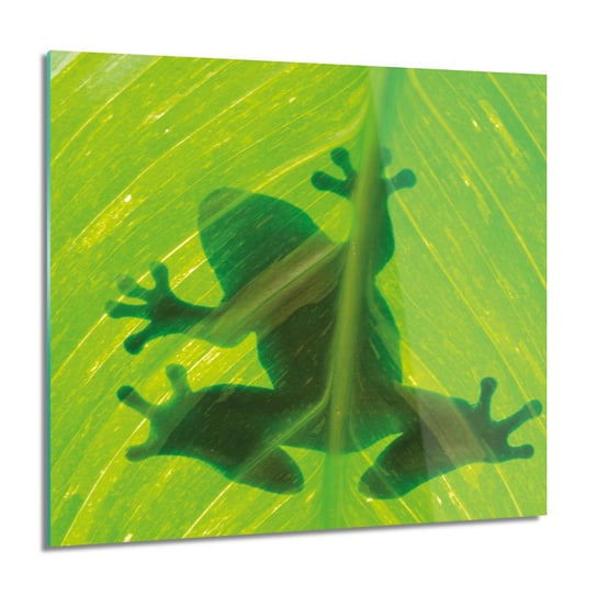 ArtprintCave, Obraz na szkle, Żaba płaz liść cień, 60x60 cm ArtPrintCave