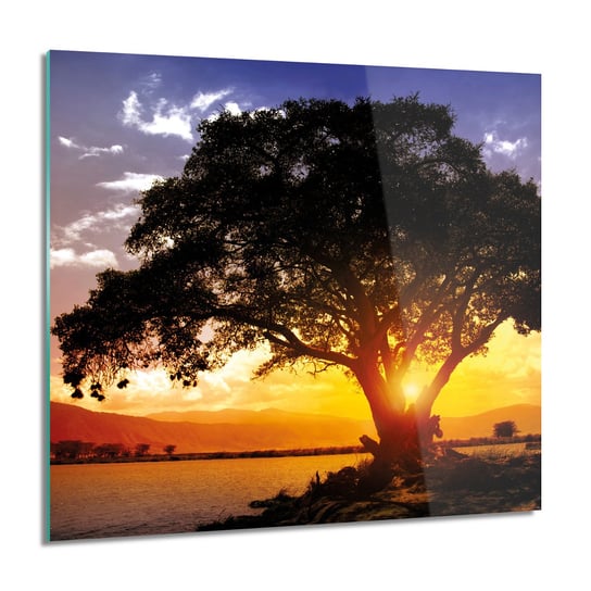 ArtprintCave, Obraz na szkle, Zachód słonca drzewo, 60x60 cm ArtPrintCave