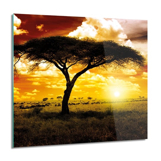 ArtprintCave, Obraz na szkle, Zachód słońca safari, 60x60 cm ArtPrintCave