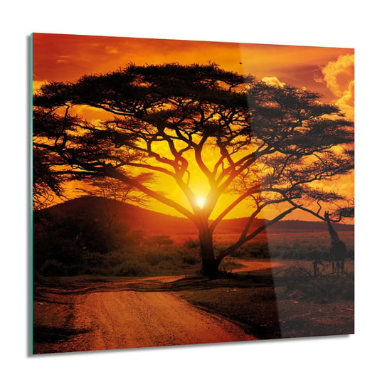 ArtprintCave, Obraz na szkle, Zachód słońca sawanna 60x60 cm ArtPrintCave