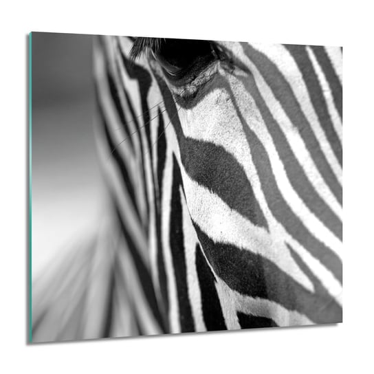 ArtprintCave, Obraz na szkle, Zebra oko pasy, 60x60 cm ArtPrintCave