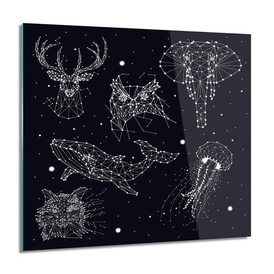 ArtprintCave, Obraz na szkle, Zwierzęta gwiazdy, 60x60 cm ArtPrintCave