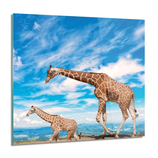 ArtprintCave, Obraz na szkle, Żyrafy rodzina niebo, 60x60 cm ArtPrintCave