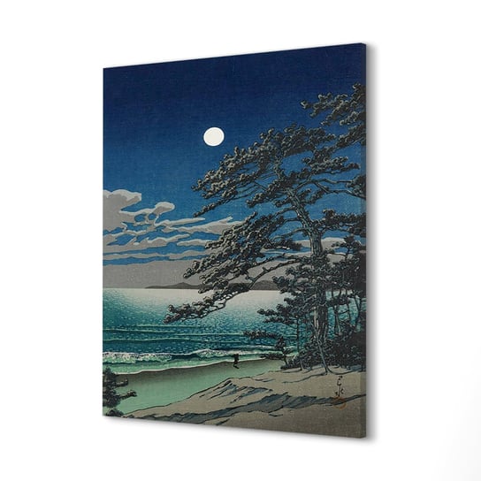 ArtprintCave, Obrazy drukowane canvas Plaża wiosna księżyc, 60x80 cm ArtPrintCave