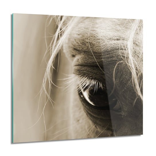 ArtprintCave, Oko koń nowoczesne obraz na szkle, 60x60 cm ArtPrintCave