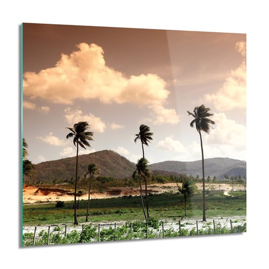 ArtprintCave, Palmy góry krajobraz do salonu foto szklane, 60x60 cm ArtPrintCave
