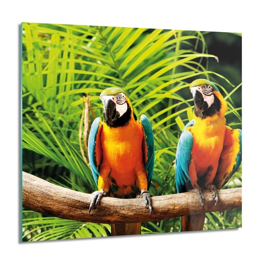 ArtprintCave, Papugi ARA palmy obraz szklany na ścianę, 60x60 cm ArtPrintCave