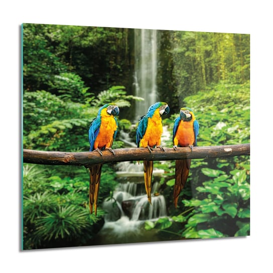 ArtprintCave, Papugi ARA wodospad nowoczesne foto na szkle, 60x60 cm ArtPrintCave