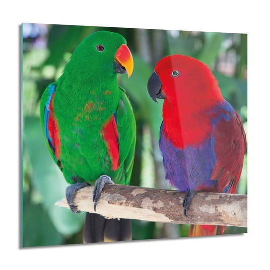 ArtprintCave, Papugi ptaki drzewo nowoczesne foto szklane, 60x60 cm ArtPrintCave