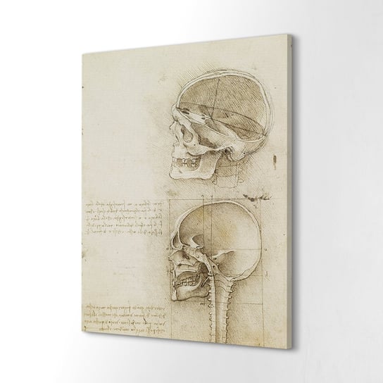 ArtprintCave, Wydruk na płótnie, Da Vinci czaszka Vintage, 40x60 cm ArtPrintCave
