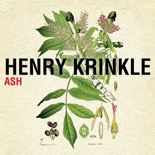 Ash Henry Krinkle