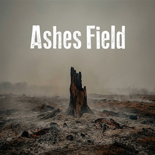 Ashes Field Auralith Code