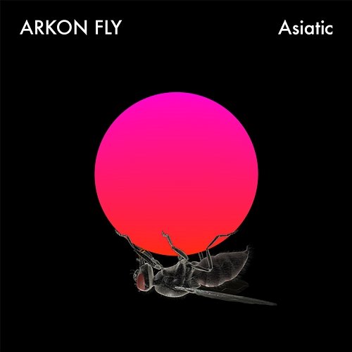 Asiatic Arkon Fly