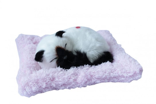 Askato, maskotka interaktywna Śpiący kotek ASKATO