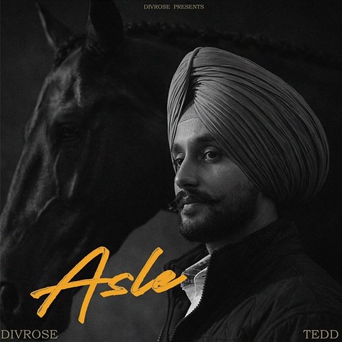 Asle Divrose, TEDD