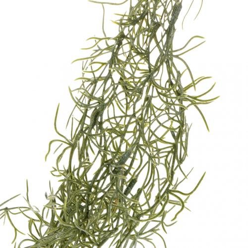 Asparagus - zwis 1,1 m Bomm