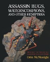 Assassin Bugs, Waterscorpions, and Other Hemiptera Mcmonigle Orin
