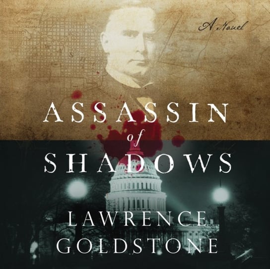Assassin of Shadows Goldstone Lawrence, Richards Joel