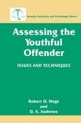 Assessing the Youthful Offender Andrews D. A., Hoge Robert D.