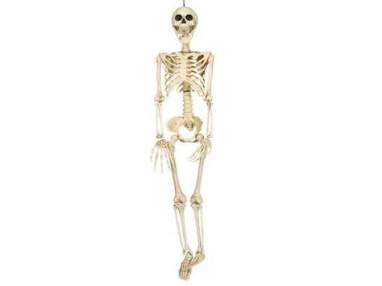 Aster, dekoracja na Halloween, szkielet 90 cm Aster